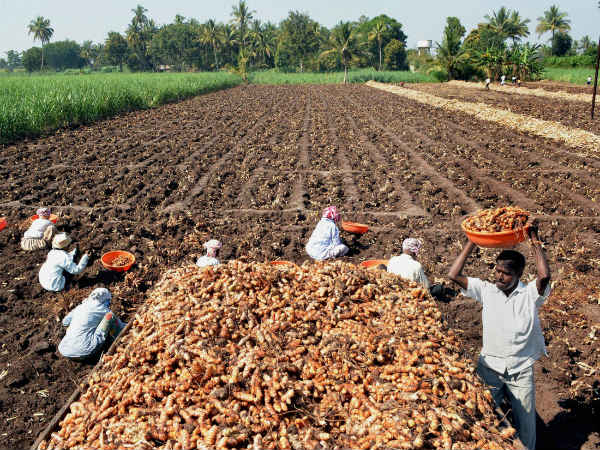 ರೈತ ಪರ ರೈತ ಪರ