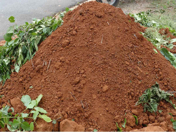 ರುಚಿಯ ಖಾದ್ಯ ರುಚಿಯ ಖಾದ್ಯ