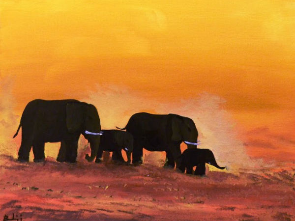 ಮಾನವ-ಆನೆ ಸಂಘರ್ಷ