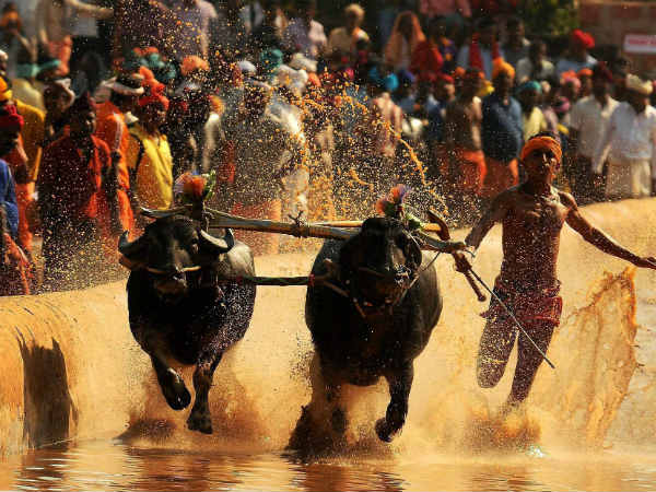 ಕಂಬಕ್ಕಿಲ್ಲ ಇನ್ನು ಅಡ್ಡಿ