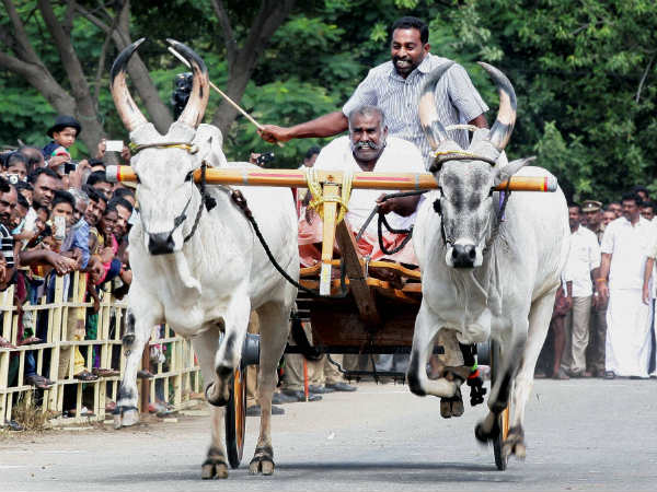 ಸಂಪ್ರದಾಯ ಉಳಿಸಲು ಬದ್ಧ