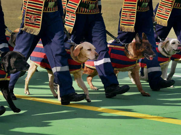 ಪೊಲೀಸ್ ಮಿಲಿಟರಿ ಕಾನೂನಿಂದ ಹೊರಗೆ
