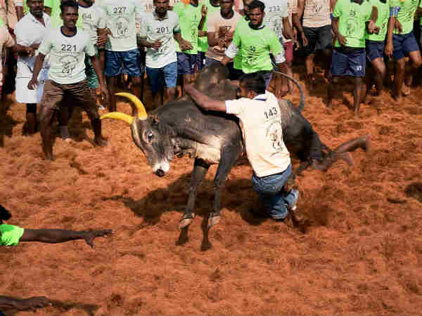 ರಾಜಕೀಯ ಬೇಡದವರ ಲೋಕ