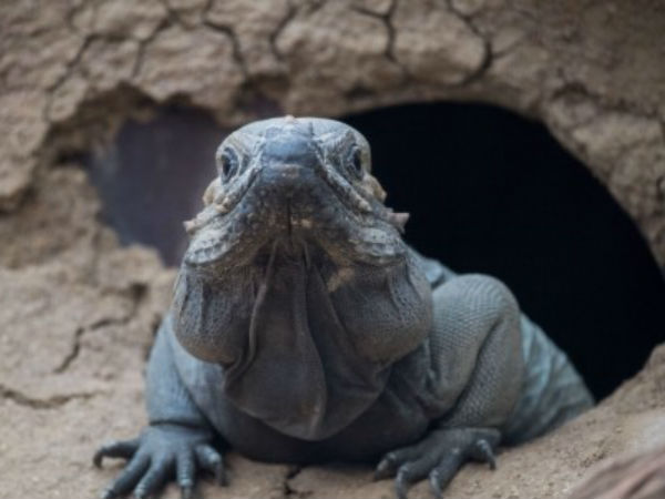 ನನ್ನ ಭಾವಚಿತ್ರ ತೆಗಿಯಿರಿ! ನನ್ನ ಭಾವಚಿತ್ರ ತೆಗಿಯಿರಿ!