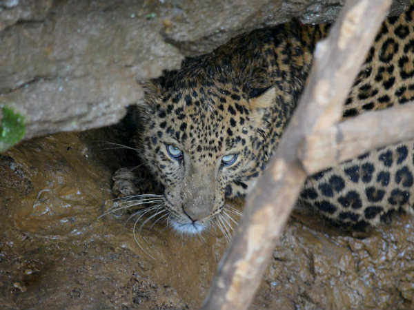 ಬಾವಿಯಲ್ಲಿ ಬಂದು ಬಿತ್ತೆ?! ಬಾವಿಯಲ್ಲಿ ಬಂದು ಬಿತ್ತೆ?!