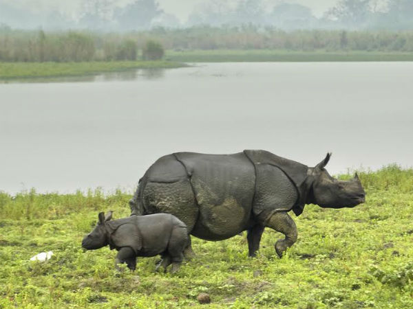 10 ವರ್ಷದಲ್ಲಿ ಗತಿಸಿ ಹೋಗುವ ಸಾಧ್ಯತೆ