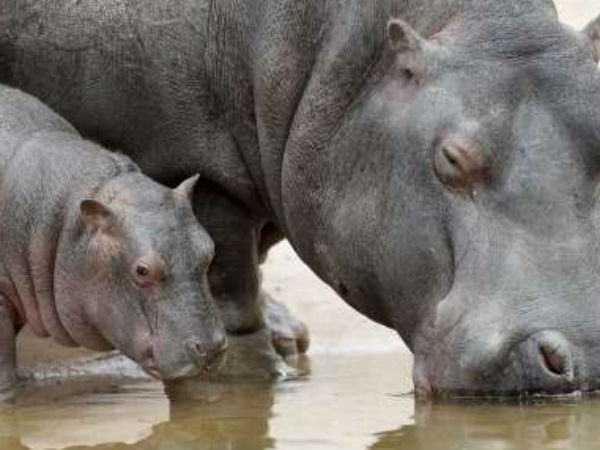 ಮಕ್ಕಳೊಂದಿಗೆ ಜೀವನ