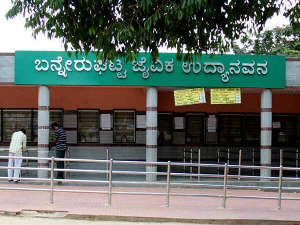 Lion attacks on safari vehicle in bannerghatta park 