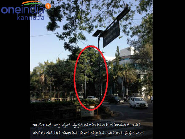 ನಗರದ ಹೃದಯ ಭಾಗದಲ್ಲಿ 