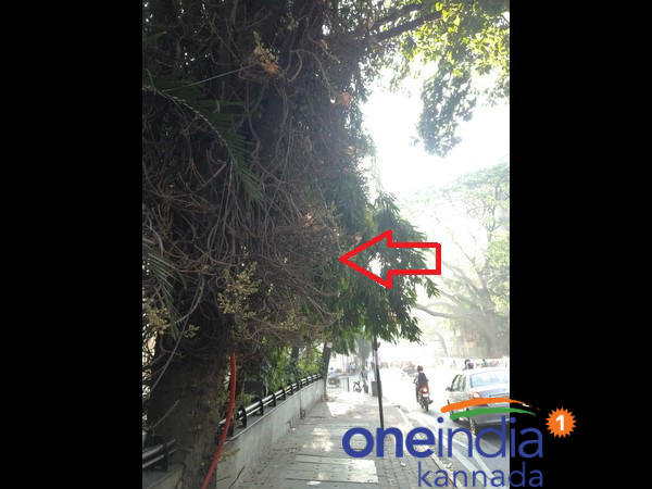 ಪರಿತಪಿಸುವ ಶ್ರೀ ಸಾಮಾನ್ಯ 