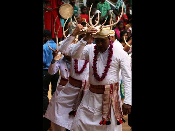 ಕಾಯಿ ಕೀಳುವ ಸ್ಪರ್ಧೆ