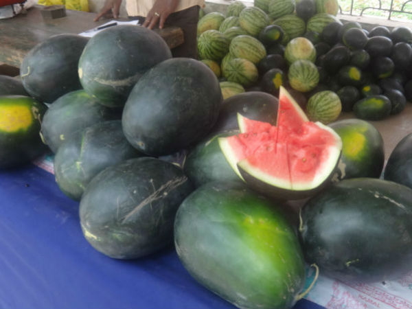 Hopcoms of Karnataka has started the Grapes and Watermelon Mela in Bangaluru 