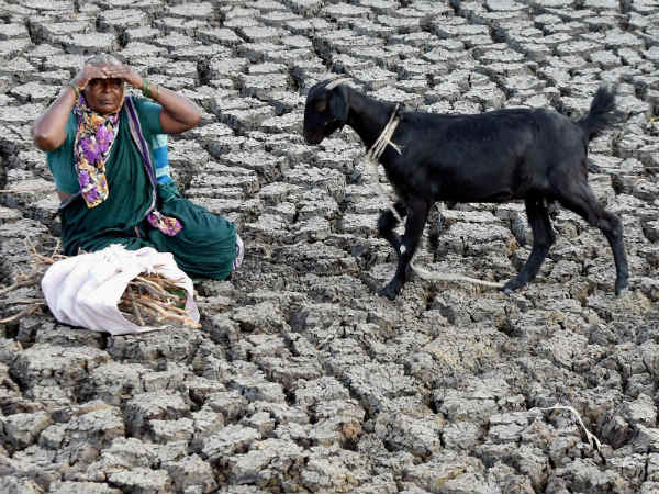 ಹೃದಯ ಬಿರಿಯುವಂಥ ನೆಲ ಬಿರಿದ ಚಿತ್ರ
