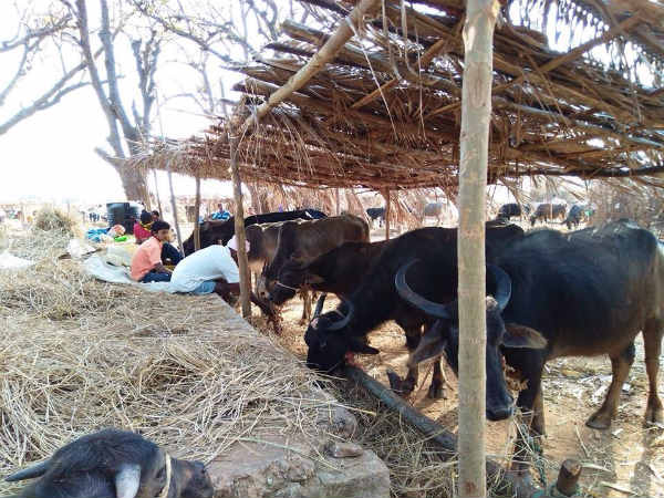 ಭೀಕರ ಬರದ ಶಾಪ ಭೀಕರ ಬರದ ಶಾಪ