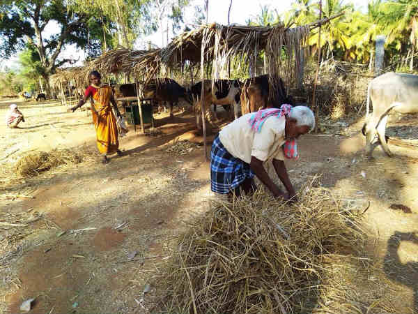 ಎರಡು ಮೂಟೆ ರಾಗಿ ಇಲ್ಲ ಎರಡು ಮೂಟೆ ರಾಗಿ ಇಲ್ಲ