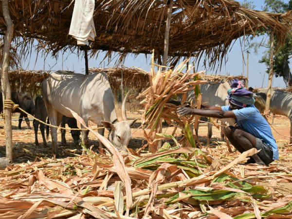 ನಗರ ಪ್ರದೇಶದಲ್ಲಿ ಅರಿವು ಮೂಡಿಸಬೇಕು ನಗರ ಪ್ರದೇಶದಲ್ಲಿ ಅರಿವು ಮೂಡಿಸಬೇಕು
