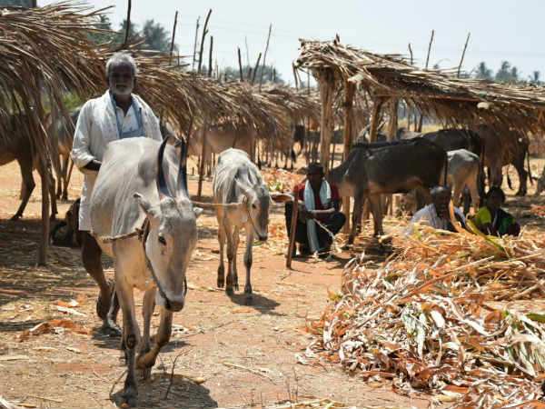 ನಿಮ್ಮಿಂದಾದ ಸಹಾಯ-ನೆರವು ನೀಡಿ ನಿಮ್ಮಿಂದಾದ ಸಹಾಯ-ನೆರವು ನೀಡಿ