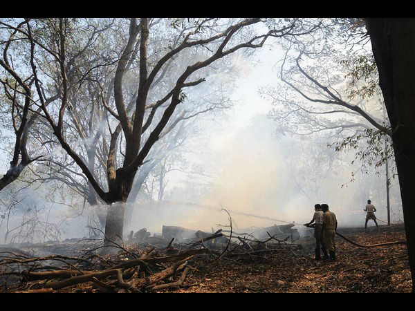 Two-month-old baby found dead in a plastic bag