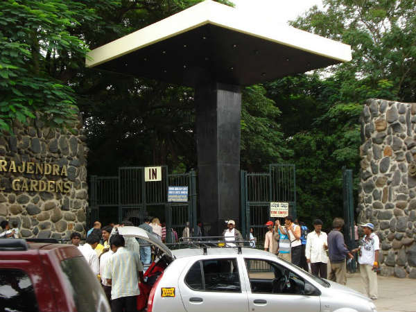 A month after the start of the re- entrance of the Zoo in Mysuru. 