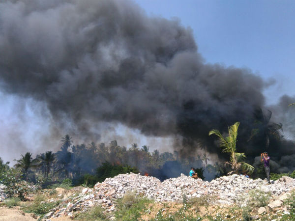 Hundreds of Coconut Trees burnt in a fire tragedy near Mysore - Bannur Ring road