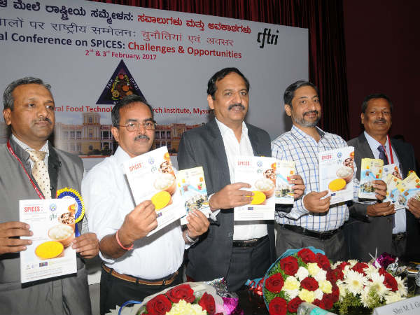 should stop chat masala and other spiecy items to eat : Nabard Chied M.I. Gangagi 