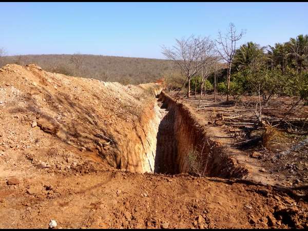 forest official cut down the trees of forest and collected the parts of the tree in his house