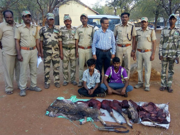 two deer hunters arrested in gopinatham forest Kollegal two deer hunters arrested in gopinatham forest Kollegal