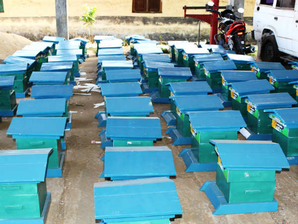 The forest department encourage to give the honey boxes to farmers in kodagu 