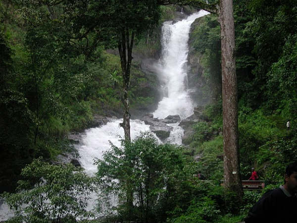 Stop all developments and save Madikeri