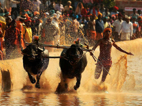 Now pro Kambal voice raised in Parliament