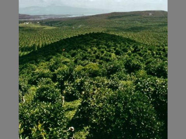 Own your dream farm house in Sakaleshpur