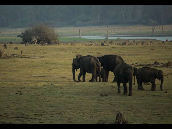 ಅರಣ್ಯ ಇಲಾಖೆಯಿಂದ ನೀರಿನ ವ್ಯವಸ್ಥೆ ಅರಣ್ಯ ಇಲಾಖೆಯಿಂದ ನೀರಿನ ವ್ಯವಸ್ಥೆ