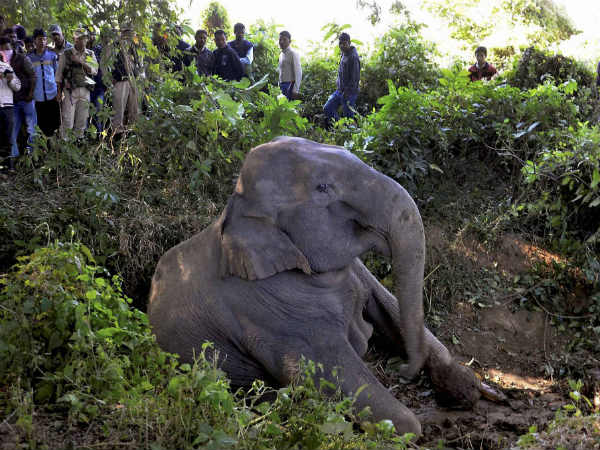 ರಾಜ್ಯ ಸರಕಾರದಿಂದ ಆಕ್ಷೇಪಣೆ