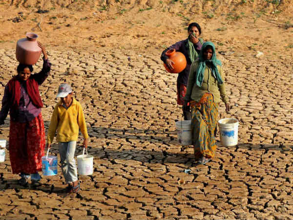 ಮೇವು ಬ್ಯಾಂಕ್
