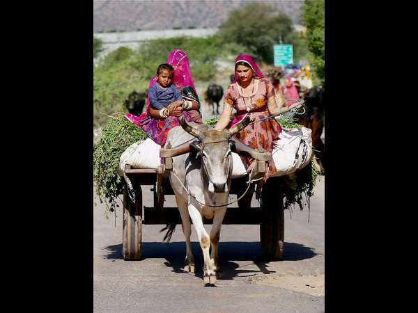 ಸಾರಥಿಯೂ ಹೌದು ಆಕೆ
