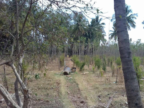 ಬಿತ್ತನೆ- ಬೆಳೆ ನಷ್ಟಕ್ಕೂ ಮಾನದಂಡ