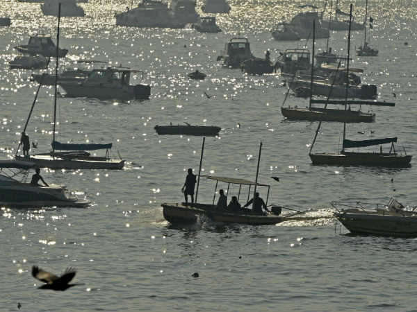 'ಮತ್ಸ್ಯ ಕೃಷಿ ಆಶಾ ಕಿರಣ' 'ಮತ್ಸ್ಯ ಕೃಷಿ ಆಶಾ ಕಿರಣ'