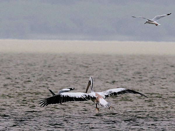 ಇನ್ನು ಕೆರೆ ತುಂಬಿಸುವ ಯೋಜನೆಗಳು