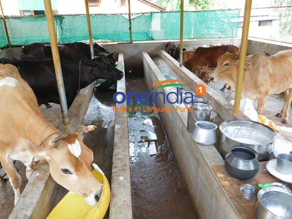 ಯುವಕರು ತಪ್ಪುಕಲ್ಪನೆ ಬಿಡಬೇಕು