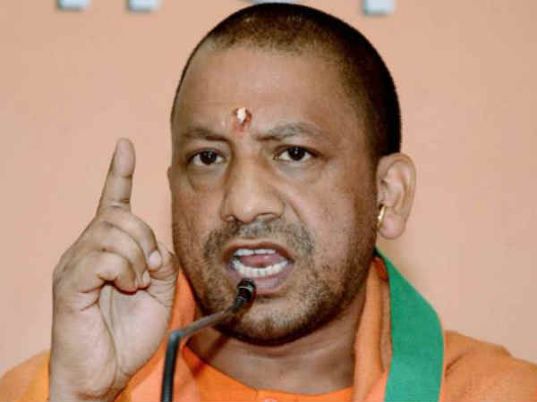 ವ್ಹಿಪ್ ಅನ್ನೂ ಲೆಕ್ಕಿಸಿರಲಿಲ್ಲ!