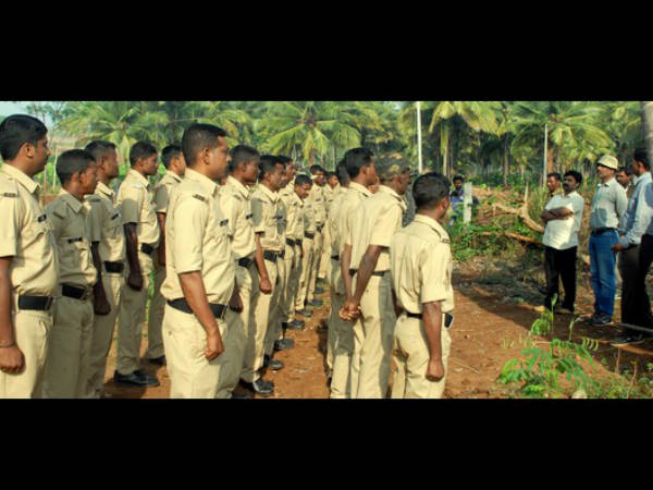 Tiger hiding in a banana farm has not found yet Tiger hiding in a banana farm has not found yet