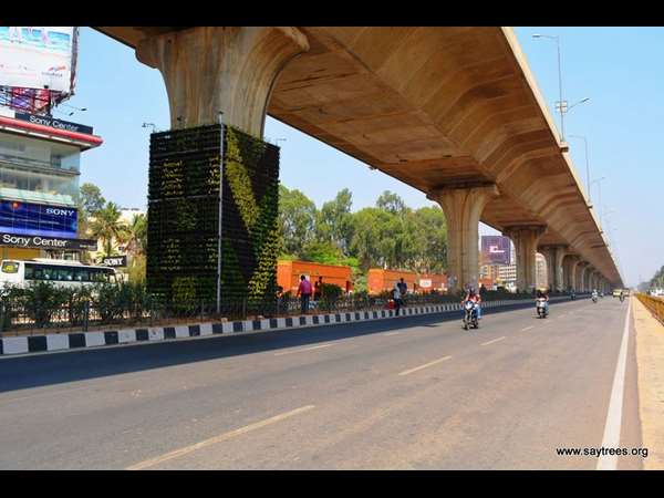 ರಾಸಾಯನಿಕ ಮುಕ್ತ ರಾಸಾಯನಿಕ ಮುಕ್ತ