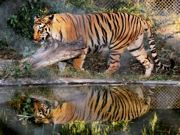 ಜನರ ರಕ್ಷಣೆಗಾಗಿ ಬೇಟೆ