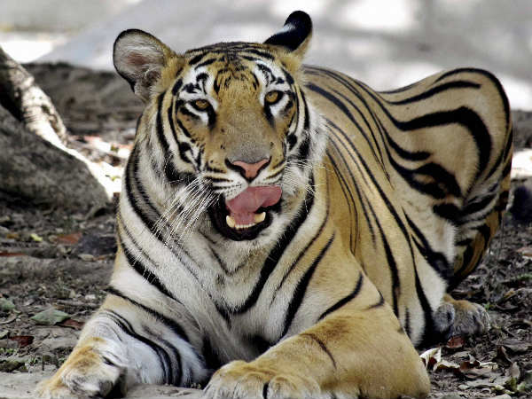 ಕ್ಯಾಮೆರಾ ಖರೀದಿಸಿ
