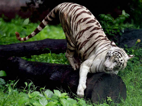 ಪುಸ್ತಕ ಹಾಗೂ ಸಿನಿಮಾ