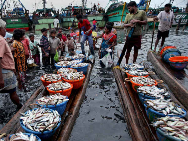 ಮೀನು ಮಾರಾಟದಲ್ಲೇ ಬದುಕು