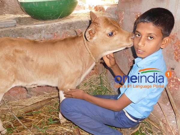 ಪ್ರಾಣಿ ಪ್ರೇಮದಲ್ಲಿ ಹಿಂದೆ ಬಿದ್ದಿಲ್ಲ 