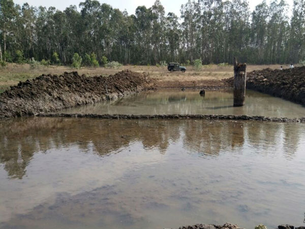 Wild life of Bandipur national national park facing two problems at a time