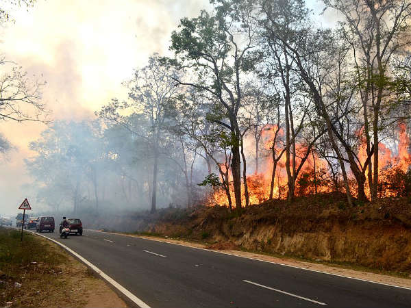 Forest fire in Anekadu forest range in Madikeri