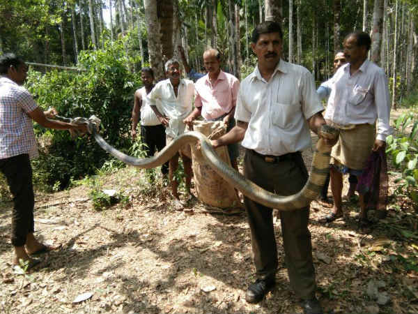 53 year old raped on 8 year girl in Kundapur